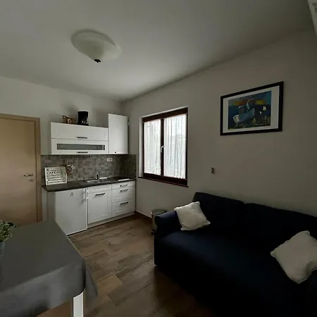 Apartment Apartman Maslina Porec