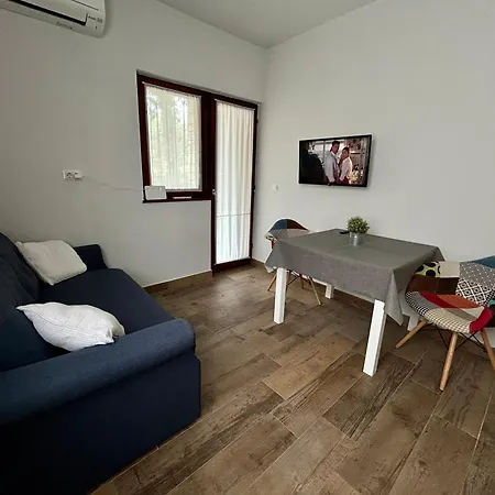 Maslina Apartman Porec
