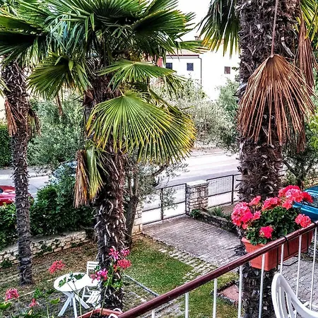 Apartman Maslina Apartment