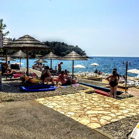 Apartman Maslina