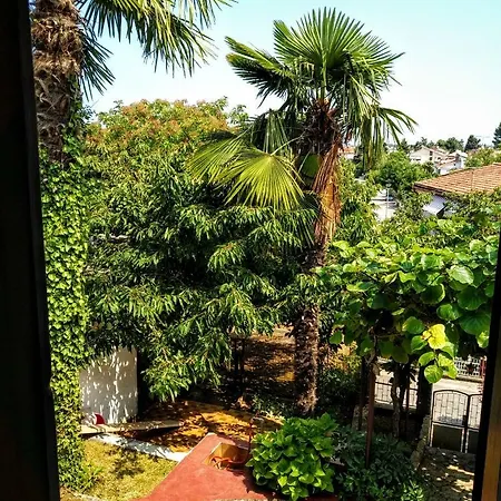 Apartment Apartman Maslina Porec