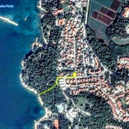 Apartman Maslina *