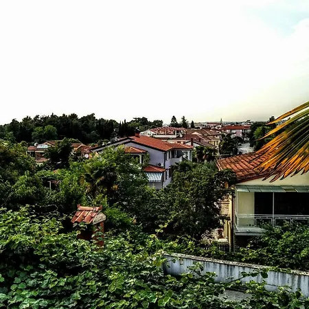 Apartman Maslina *