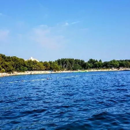 Apartman Maslina Lägenhet *